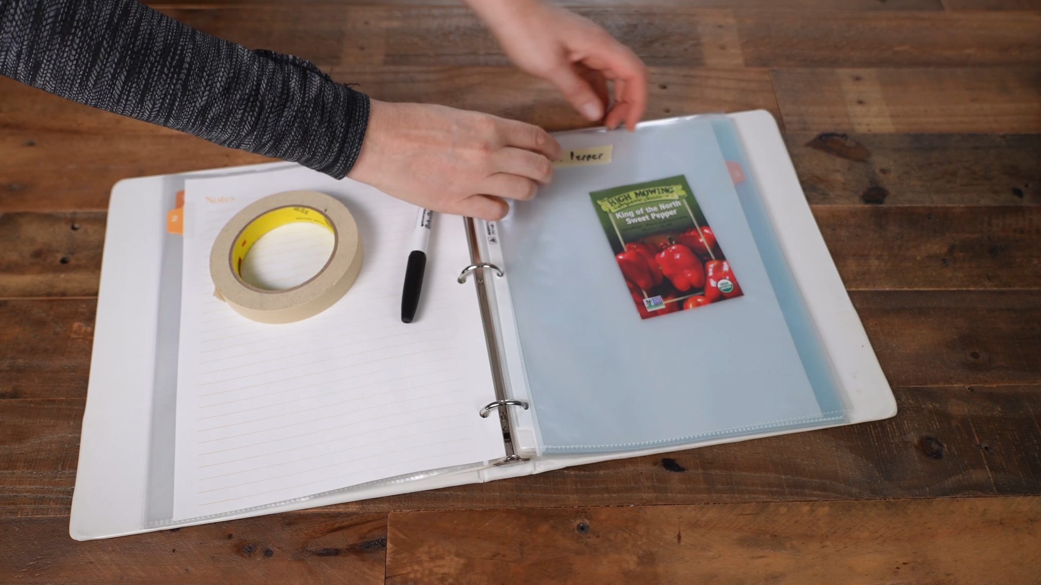 8 Seed Organizers + My DIY Seed Storage Box System