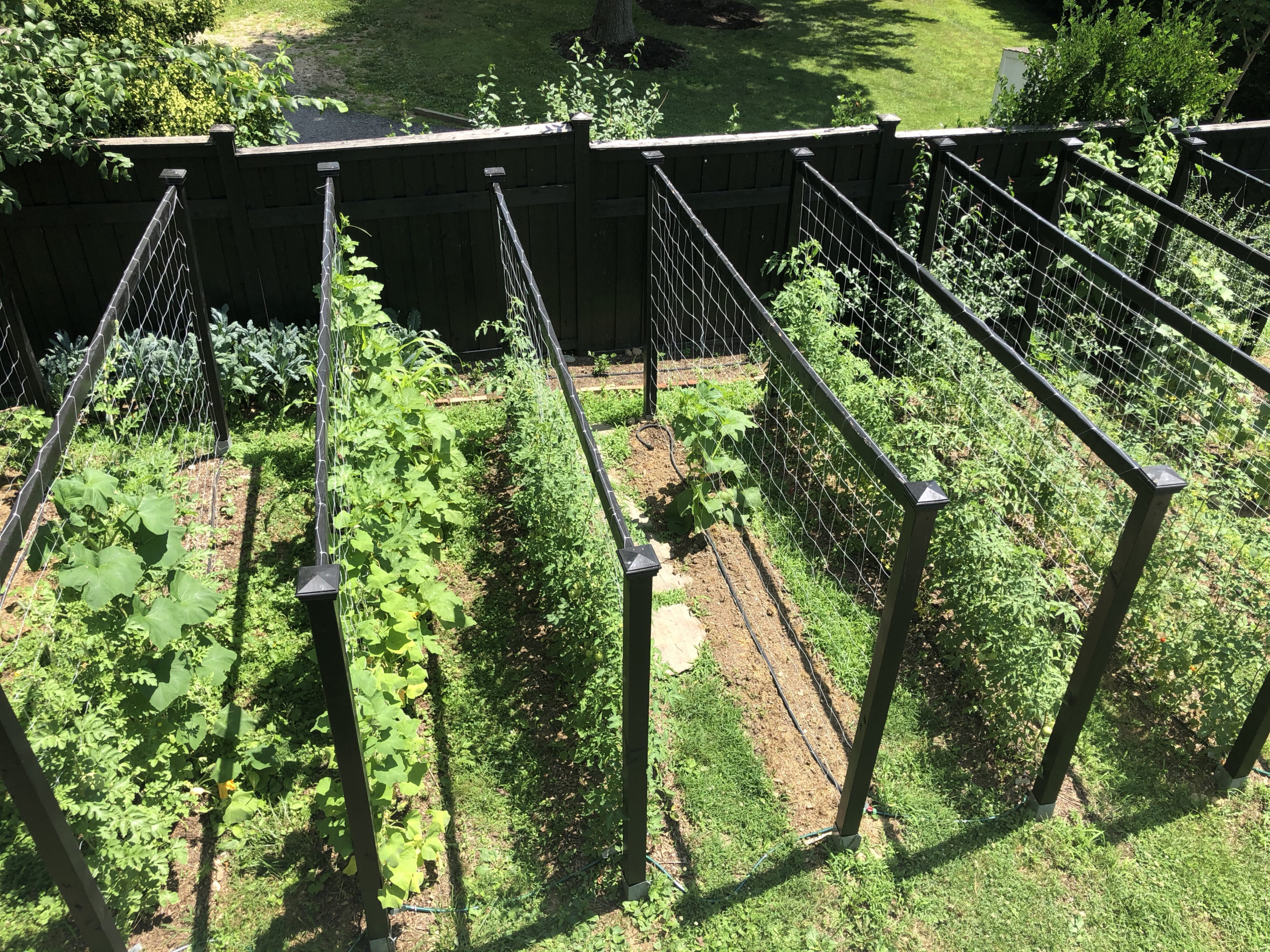 Easy Step by Step Vertical Trellis - The Contractor's Castle