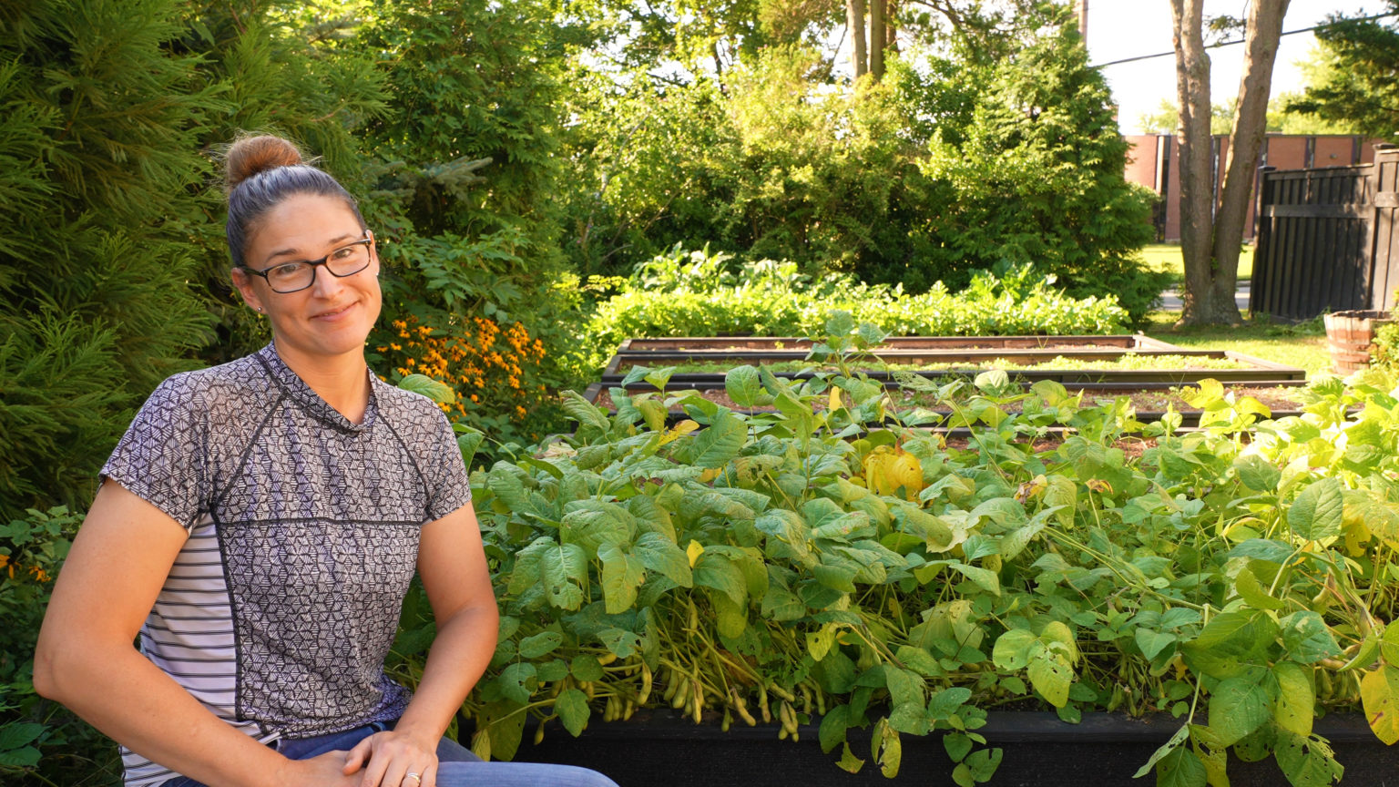 When & How To Harvest Edamame (Soybeans)2 Ways!