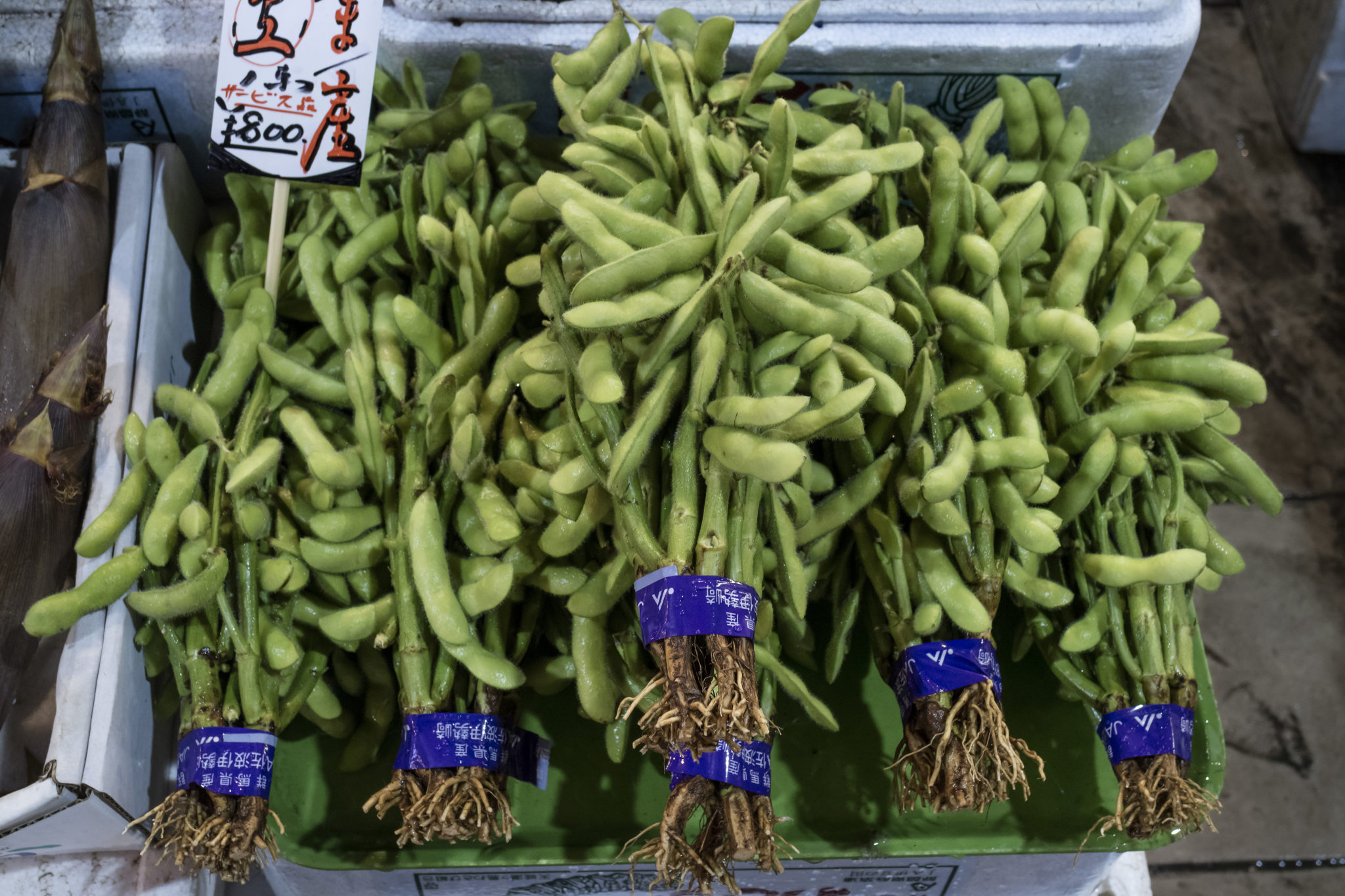 When & How To Harvest Edamame (Soybeans)2 Ways!