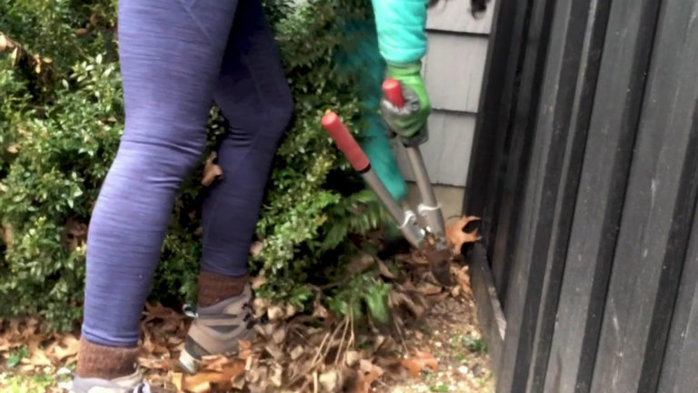 How To Winterize A Garden: 10 Steps Before It Snows!