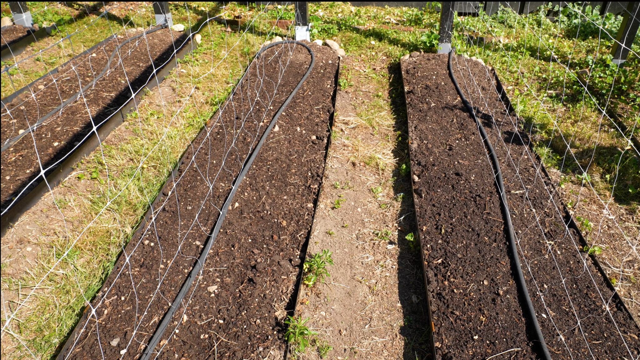 My Vegetable Garden Soil Preparation Routine (pH, Fertilizer ...
