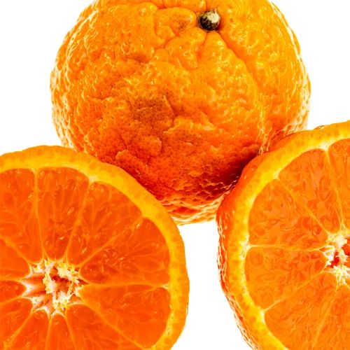 Golden Nugget Mandarin Orange