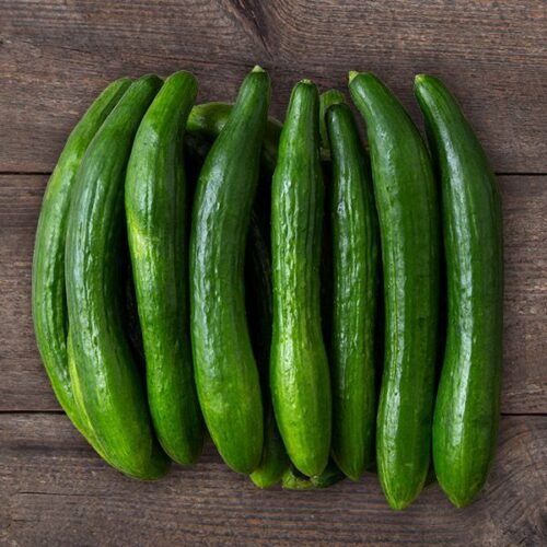 Telegraph Improved Cucumber