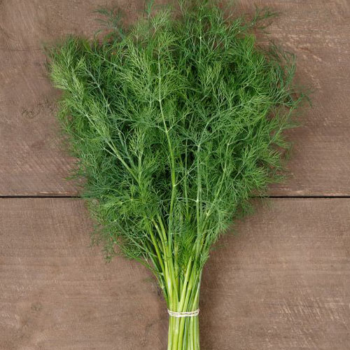 Ceres Dill