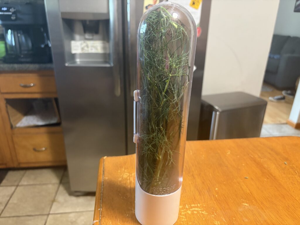 Dill leaves in a storage container on a counter with a refridgerator in the background