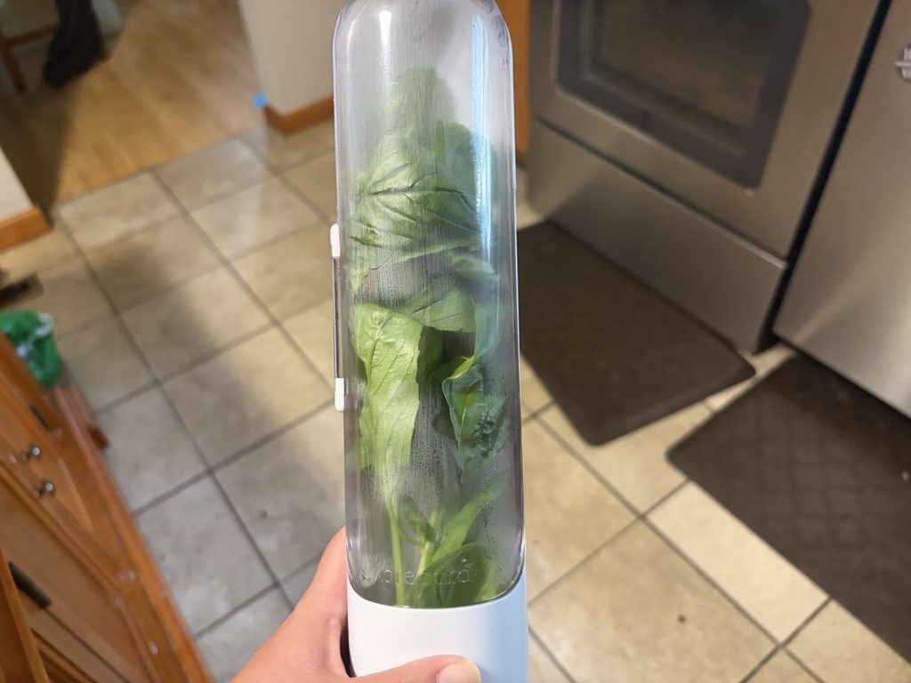 herbs inside plastic storage container in kitchen